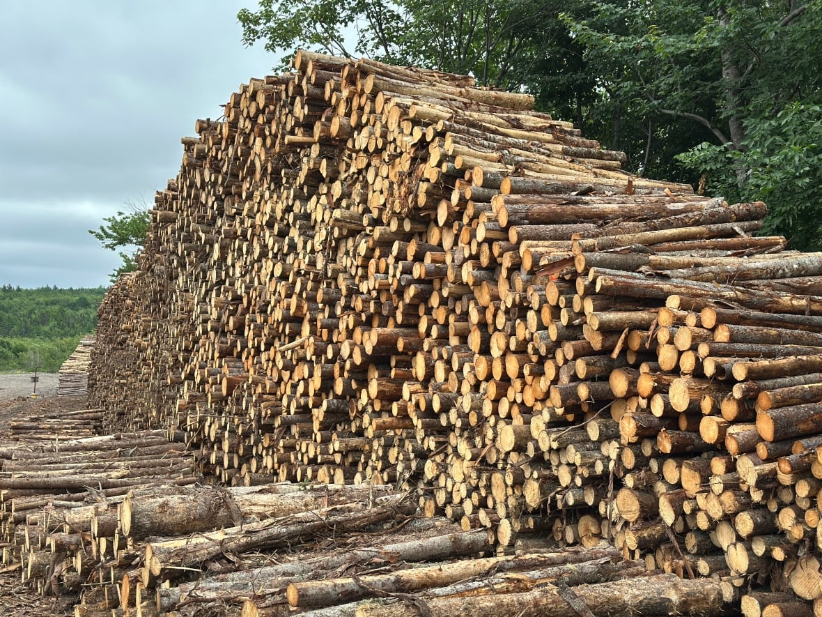A large stack of timber.