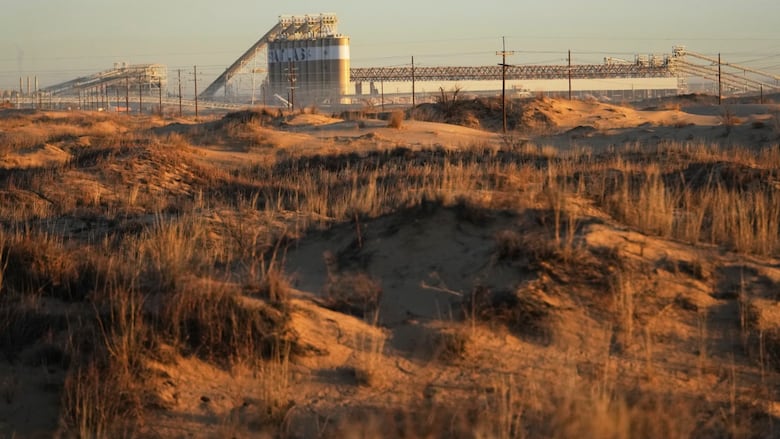 A sand dune.