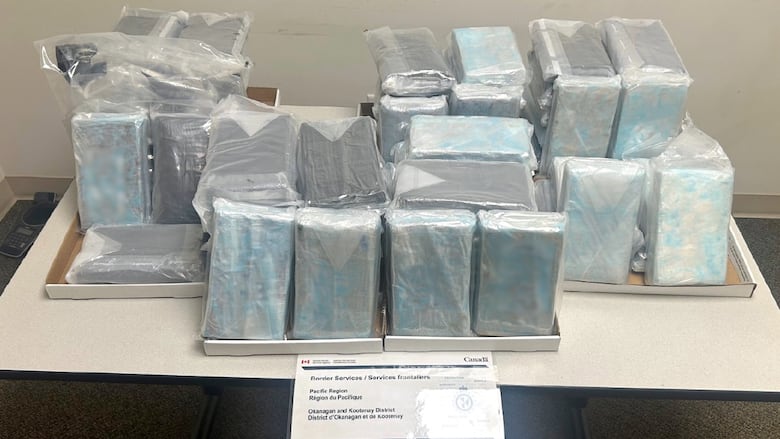 More than 20 bluish-white bricks of cocaine wrapped in plastic are displayed on a table.