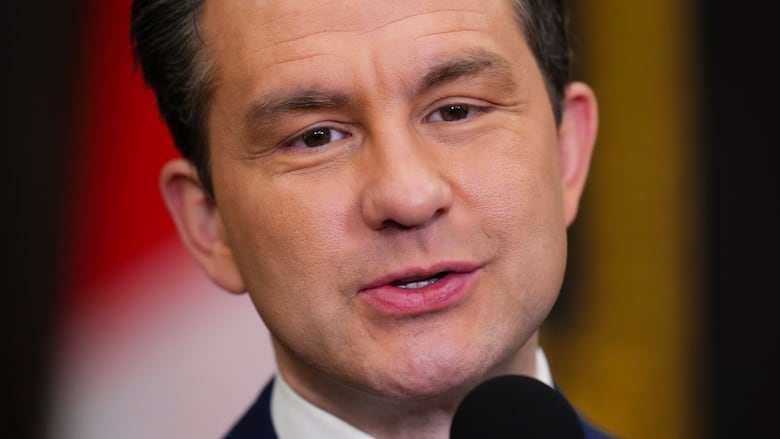 Conservative Leader Pierre Poilievre speaks to reporters in the foyer of the House of Commons on Parliament Hill in Ottawa on Friday, May 30, 2025.