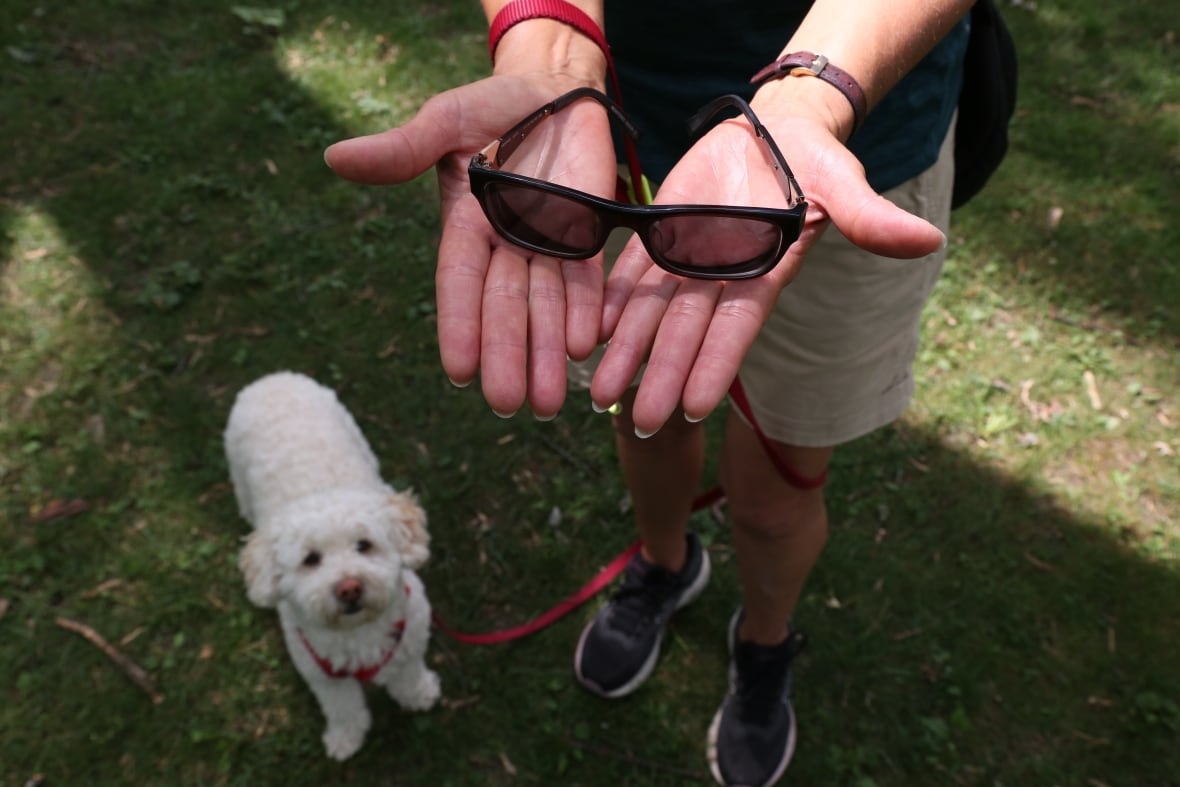 Person holding sunglasses on their palms, a dog in the background looks up at them. 