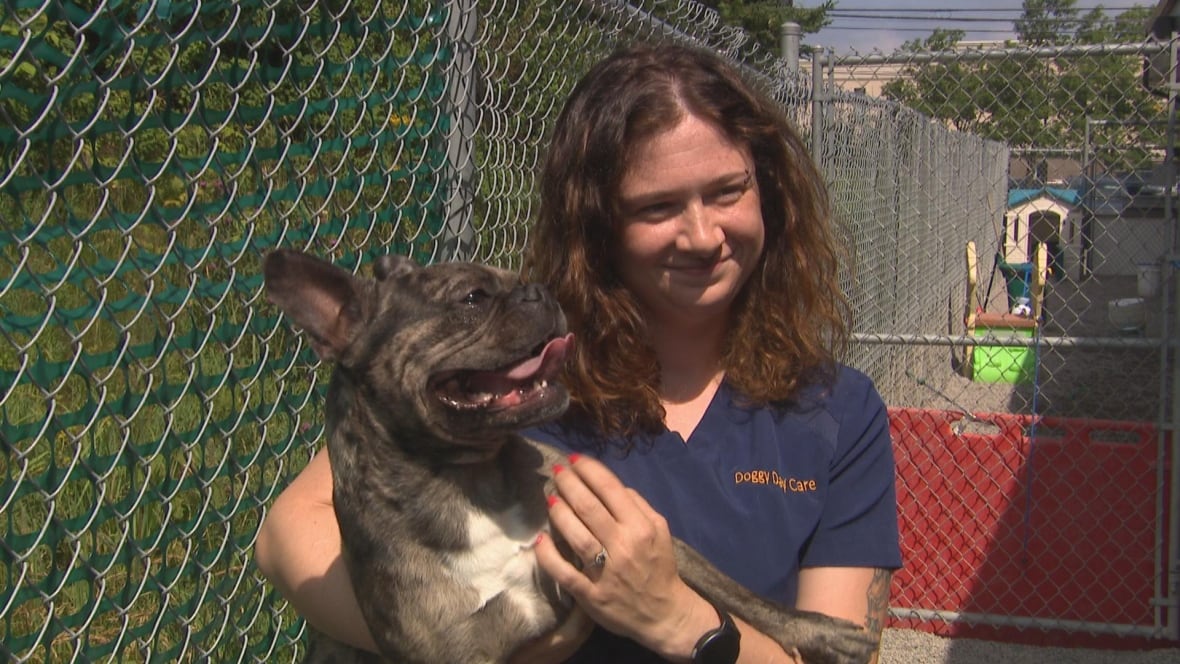 Woman holds french bulldog outside
