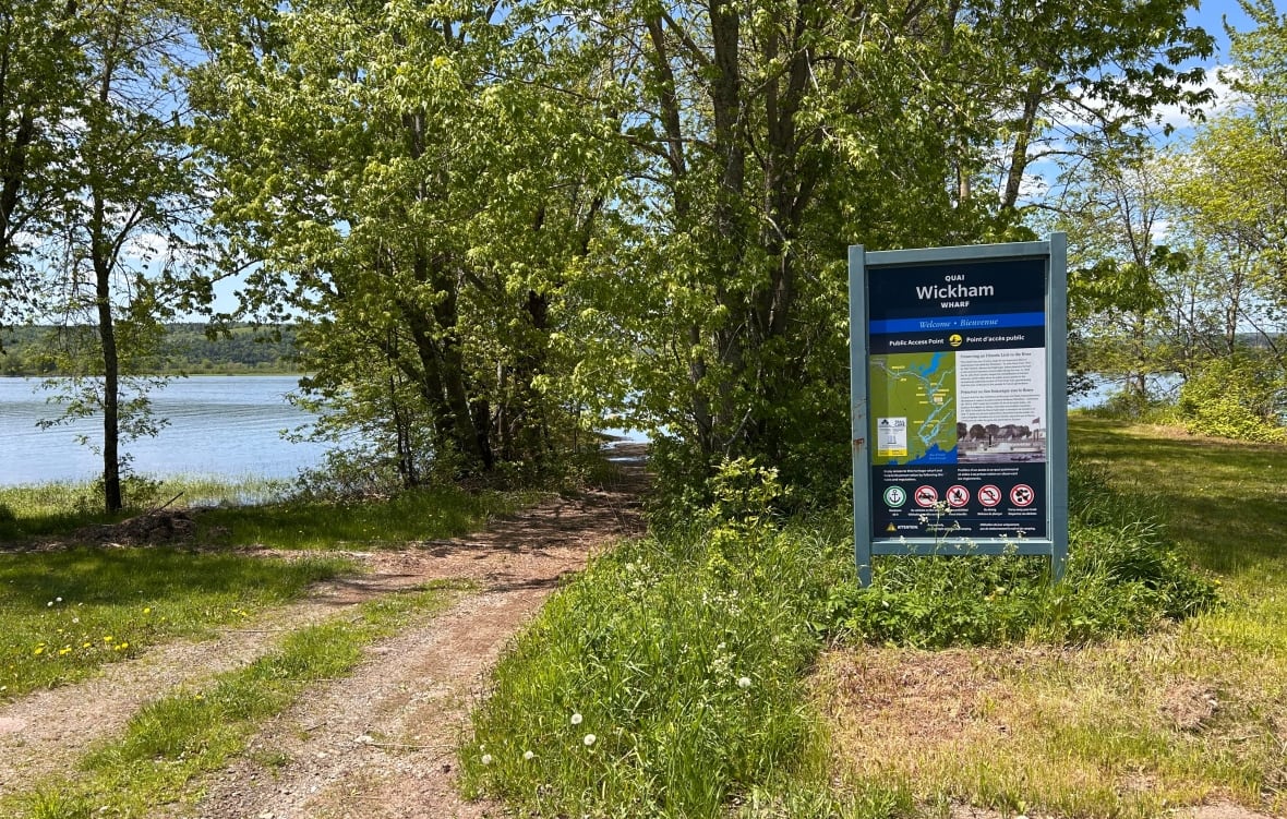 Trees on a river bank with a sign in the forefront.