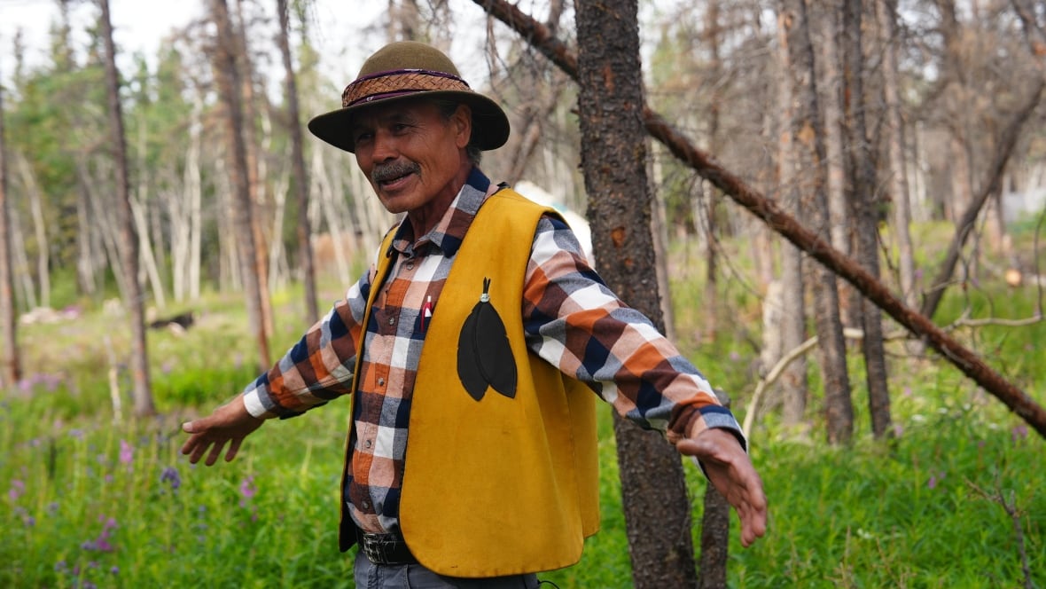 A man with his arms spread, surrounded by trees.