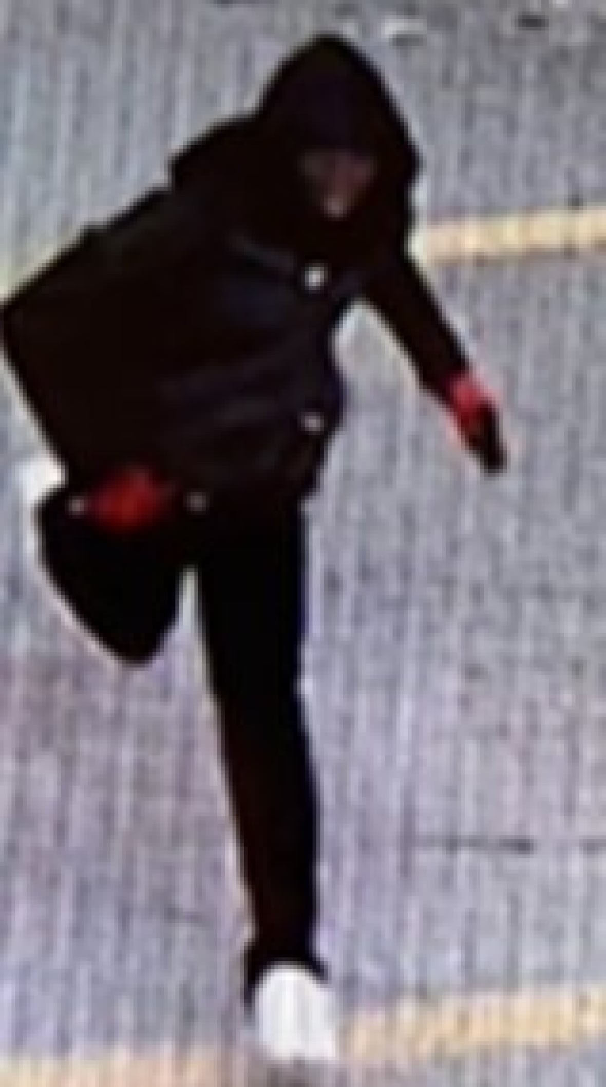 Image of suspect 2