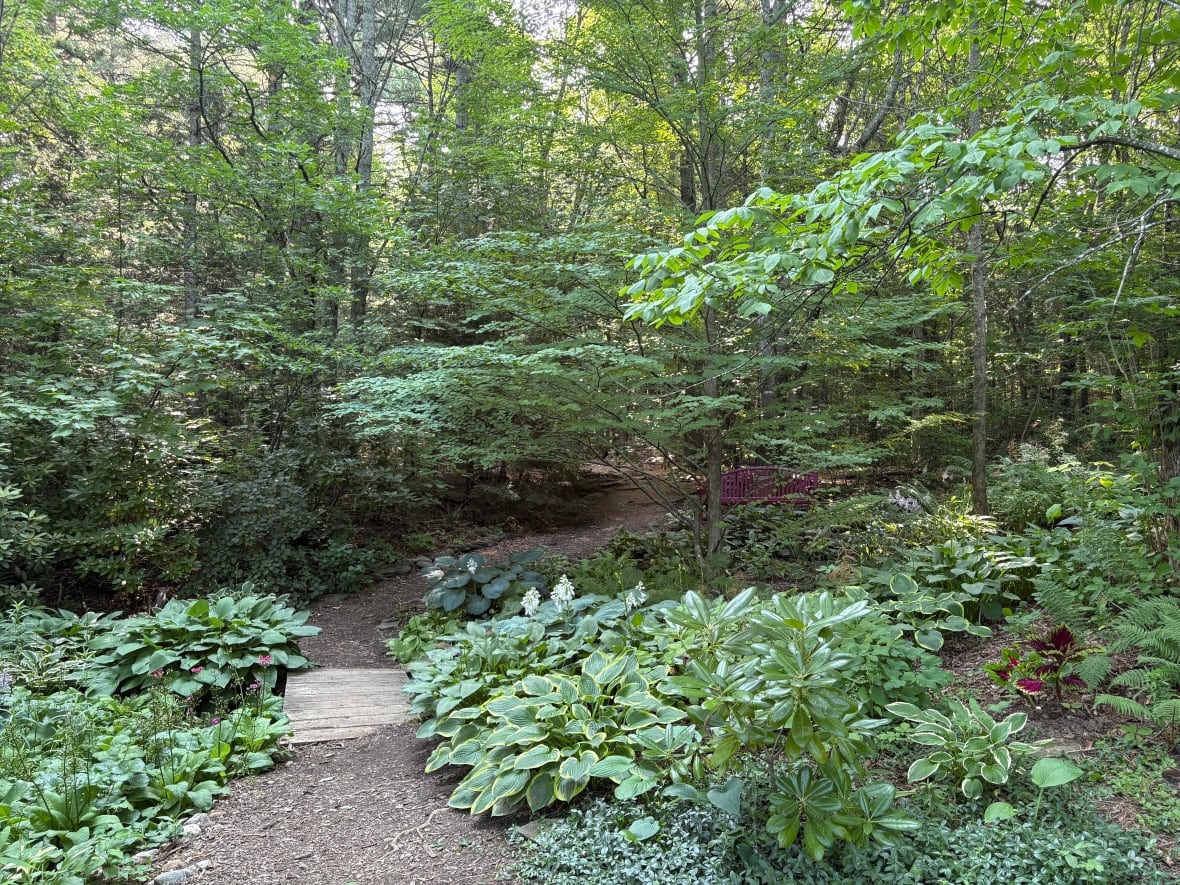 A green garden with a narrow path in through the center.