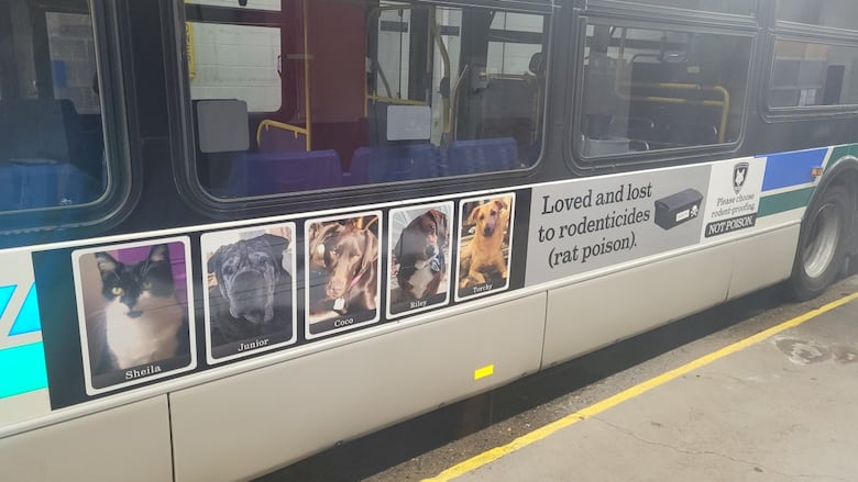 A new series of ads has appeared on London city buses displaying photos of household pets killed by rat poison, and urging people to stop using it. 