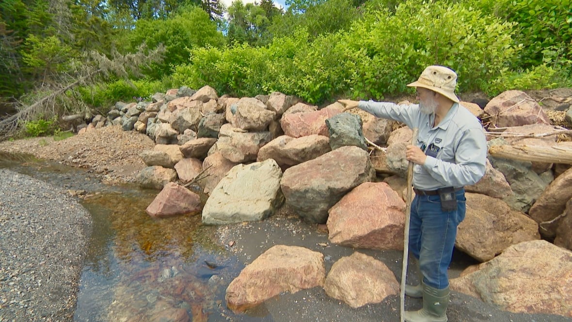 A man holding a walking stick stands between a rock wall and a brook, and points out of frame.