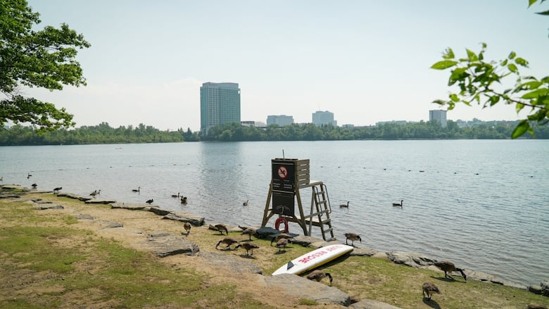A beach closed to swimming because of water quality concerns.