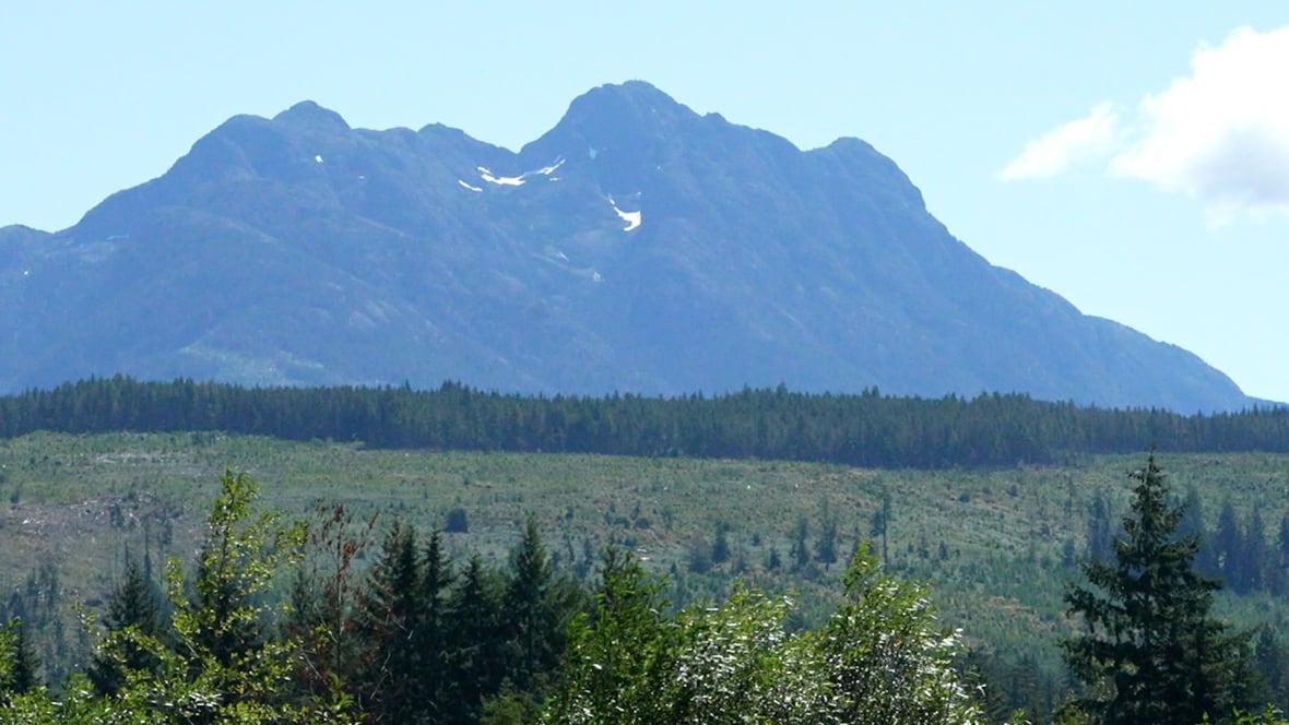 Mount Arrowsmith stands above a clear cut in the foothills. 