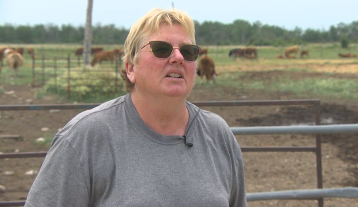 A woman with short blonde hair wears sunglasses. Cattle graze and roam behind her.