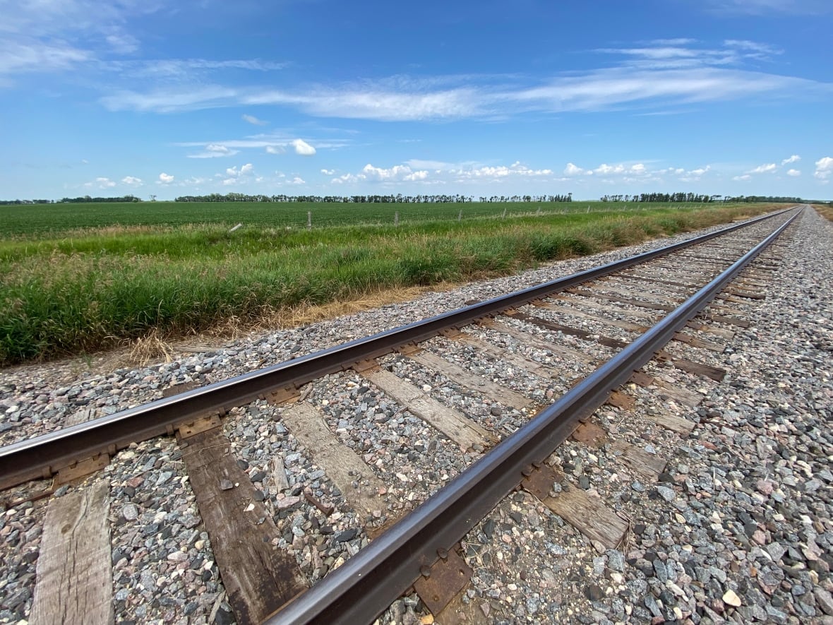 Rail tracks with green field in the backfround.