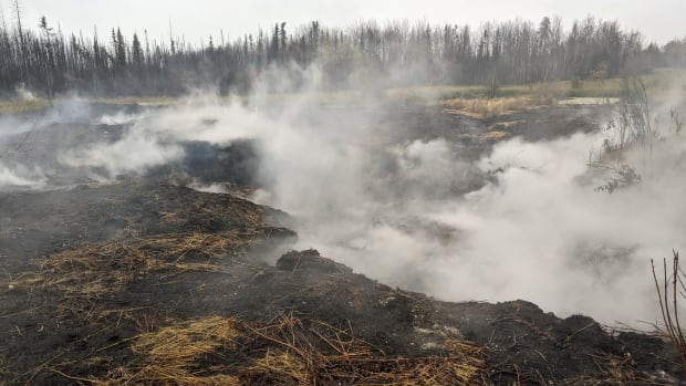 A peatland wildfire in Alberta in 2021. Peatland fires can burn at a lower intensity over long periods of time, and emit a lot of carbon because a peatland soils are carbon-rich. A peatland wildfire in Alberta in 2021. Peatland fires can burn at a lower intensity over long periods of time, and emit a lot of carbon because a peatland soils are carbon-rich.