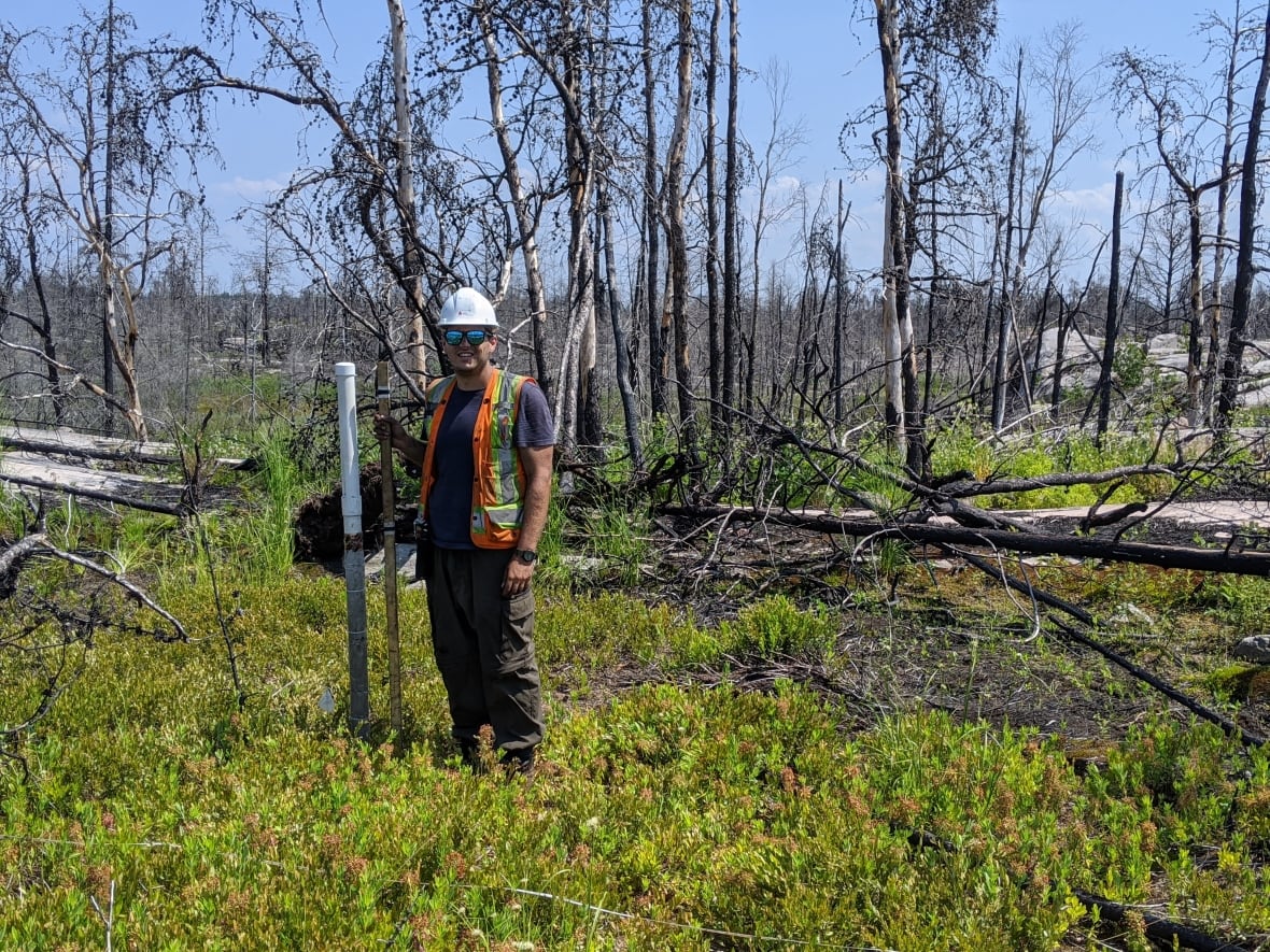 Greg Verkaik, a PhD researcher on peatlands at McMaster University, conducts field studies at peatlands in northern Alberta. He is increasingly seeing the impacts of severe fire seasons on the peatlands.