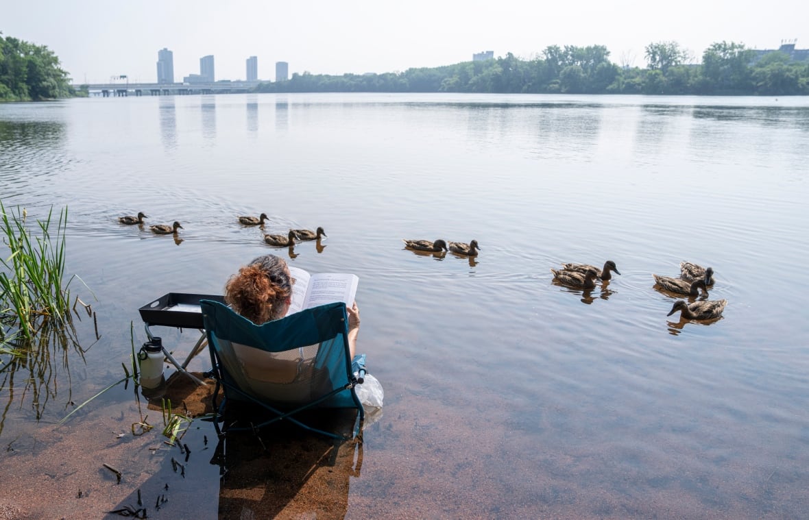 A woman sits in a chair partially submerged in a river as ducks swim by under a haze filled sky.