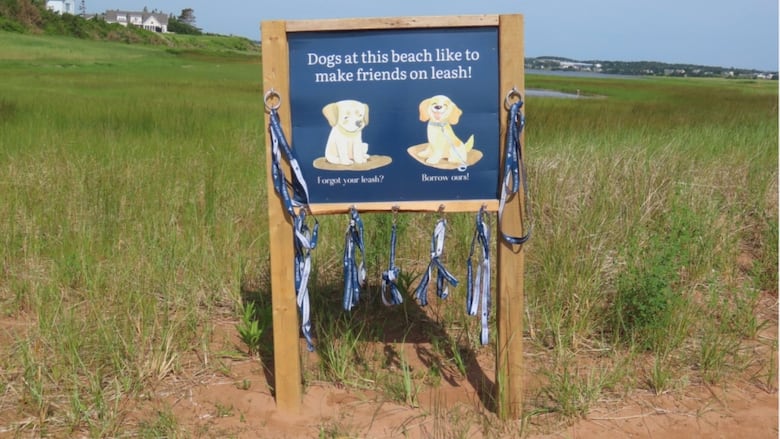 Sigh at beach with dog leashes