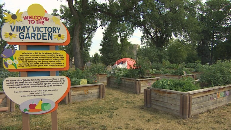 A sign reads 'Vimy Ridge Garden' next to a number of above ground community garden plots.