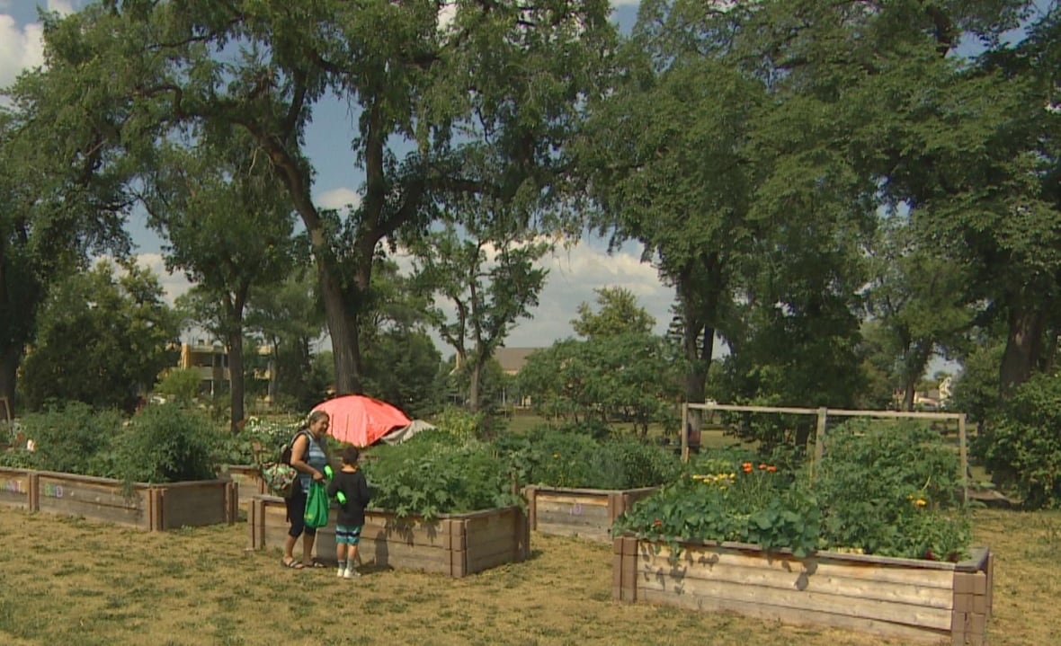 A woman and young boy stand by raised garden beds at a community garden.