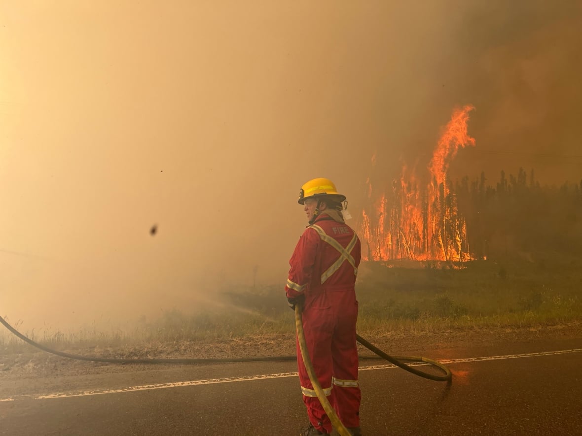 Firefighter stands on highway with hose with grove of trees alight in the background. 