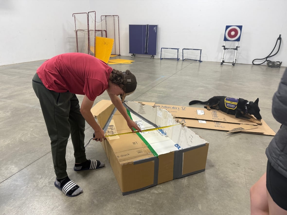 A young white boy making a cardboard boat, he is wearing a hat and a red t-shirt. A dog is also seen sitting in the picture.