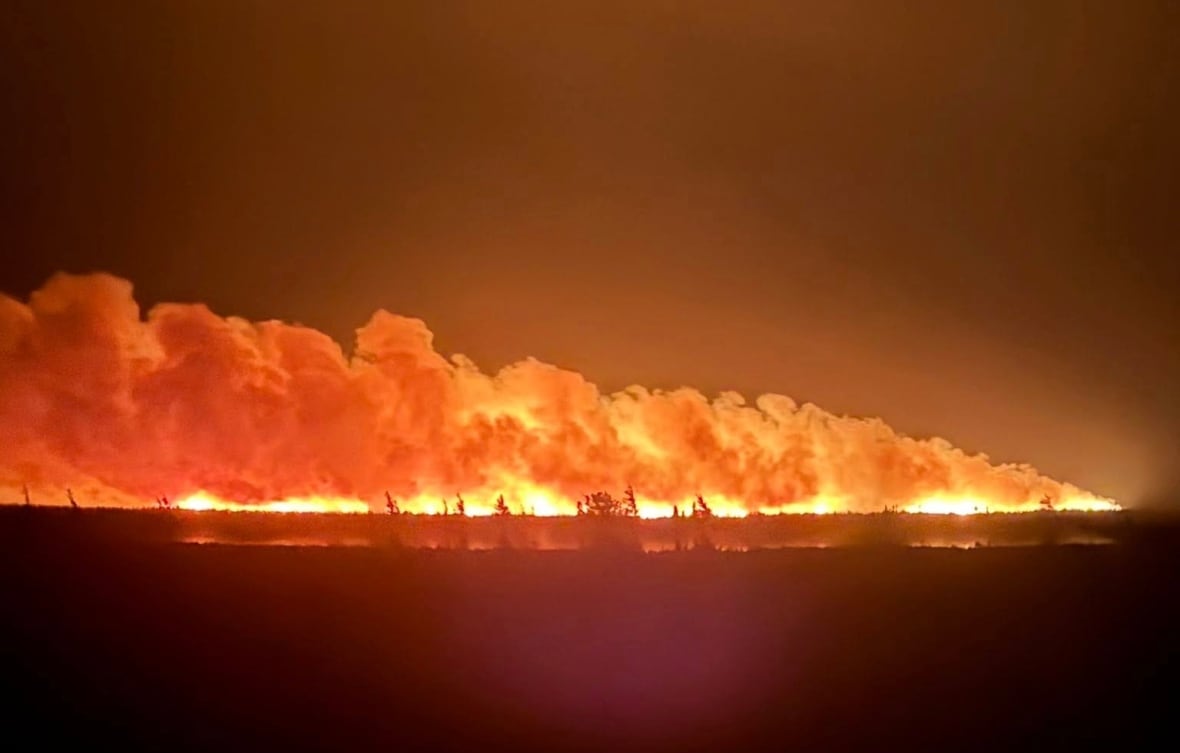Large clouds of smoke over fire amongst trees