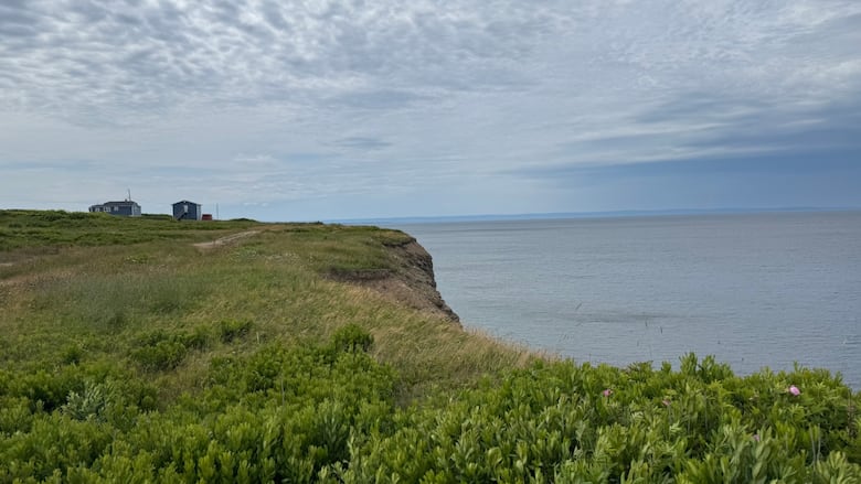 View of ocean over a cliff at the base of a small street.