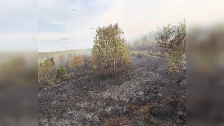 A wildland burned by fire is shown by nearby power lines.