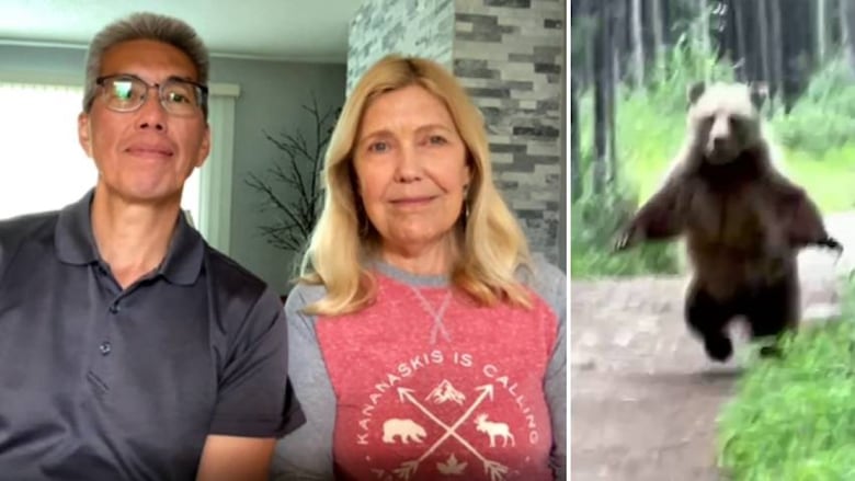 At left, a man and a woman conducting an interview via Google Meet. At right, a grizzly bear rises on its hind legs along a mountain trail.
