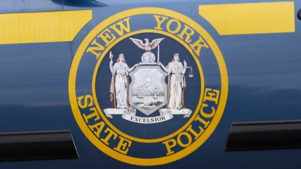 The seal for a police logo is seen on the side of a car.