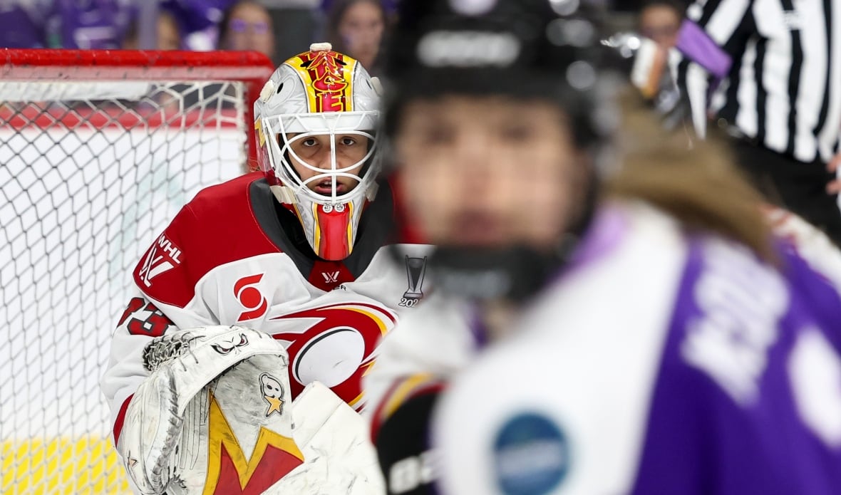 A goalie looks straight ahead during a hockey game.