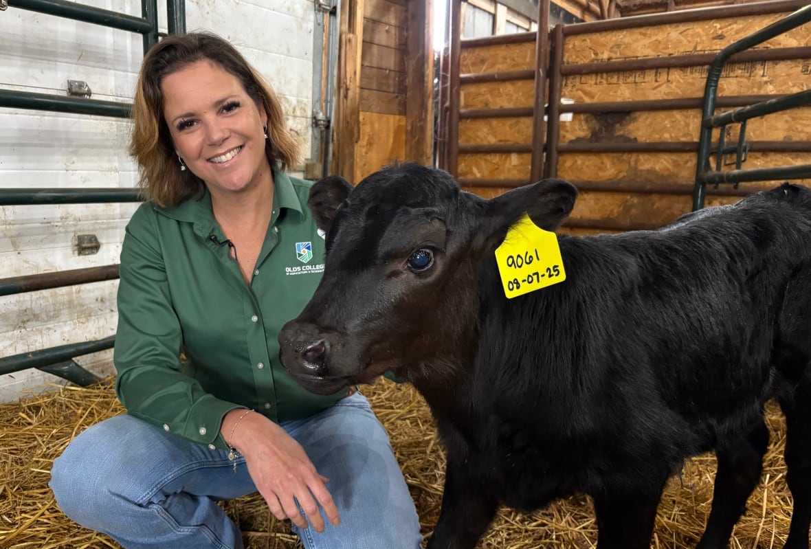 A woman kneels beside a black calf, smiling at the camera.
