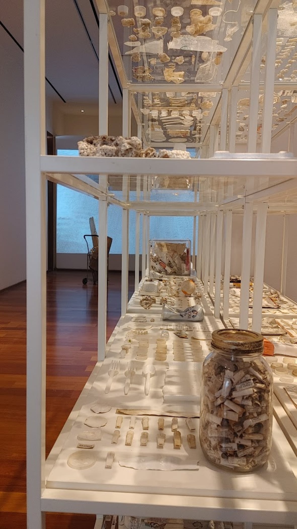 View inside a white walled gallery. A shelving unit rests next to the wall. Dirty white bits of trash are neatly arranged on the shelves.