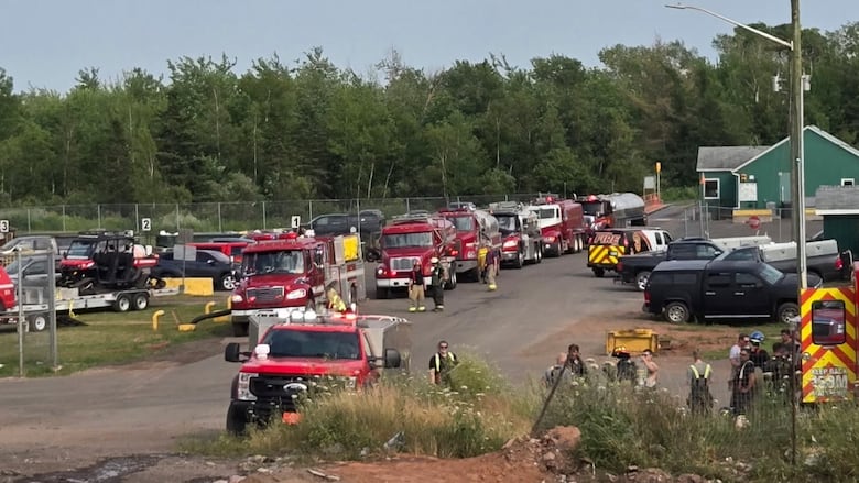 Many fire trucks and firefighters are on the scene at a waste watch facility in Wellington.