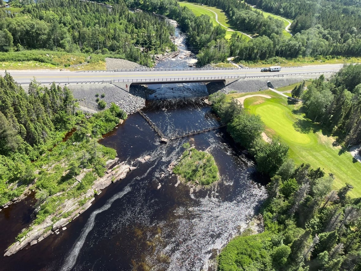 A river near a roadway.