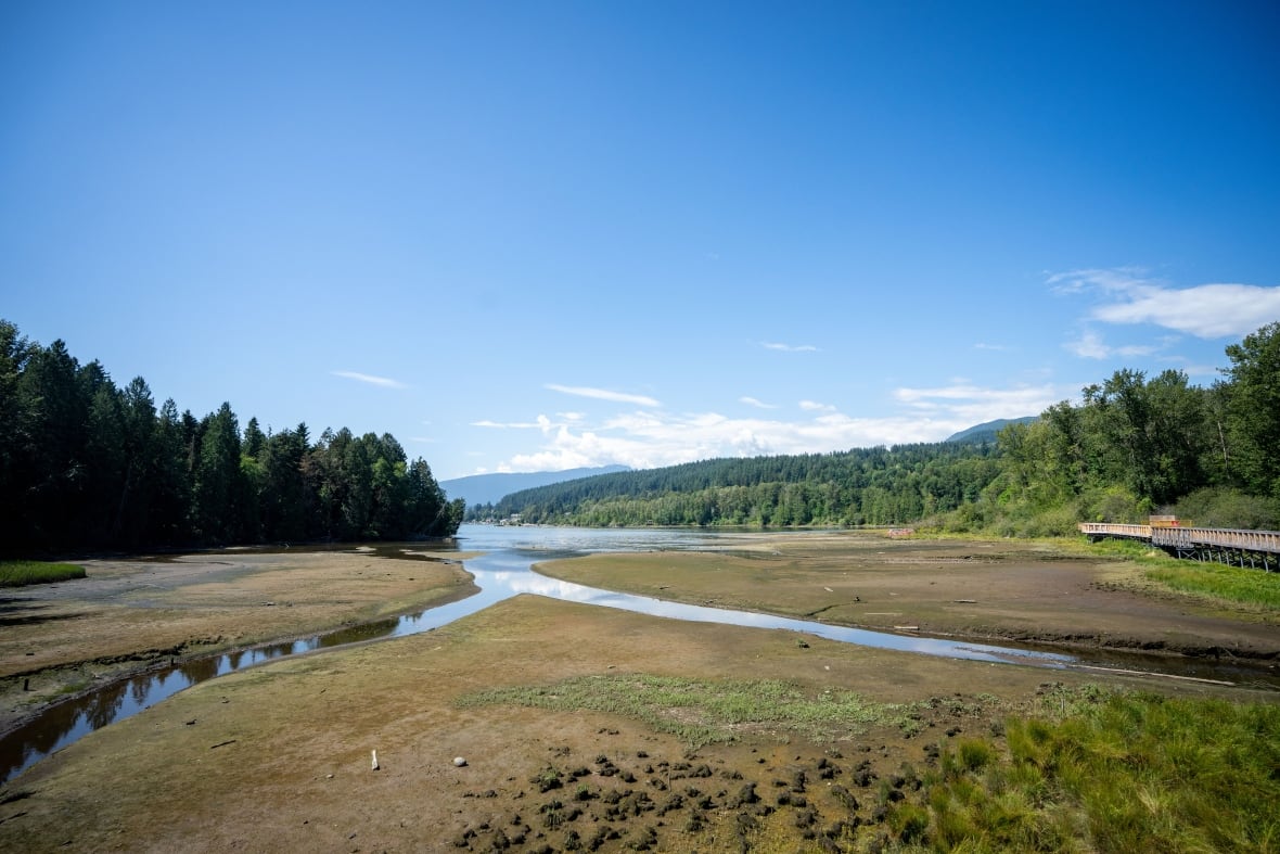 Patches of muddy soil are seen next to an inlet.