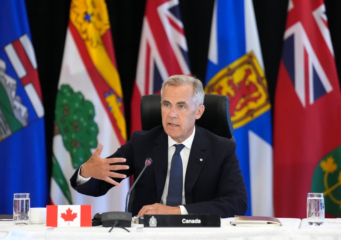 A man in a dark suit and blue tie with an array of flags behind him representing Canada and Canada's provinces gesticulates as he speaks into a microphone on a table 