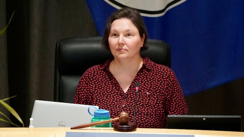 The mayor is seen inside council chambers at Medicine Hat city hall.
