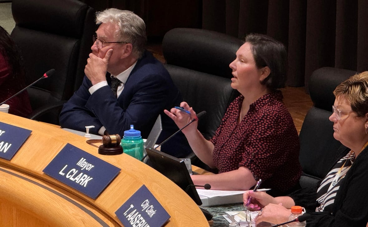 The mayor raises her hand as she speaks during a city council meeting in Medicine Hat.