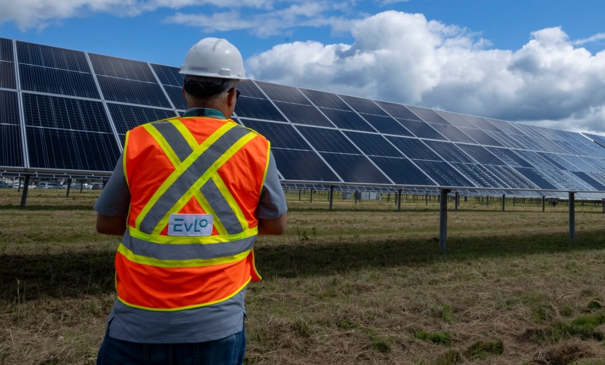 Un trabajador en una camisa de alta visibilidad que aparece de delantera a la parte posterior de los paneles solares