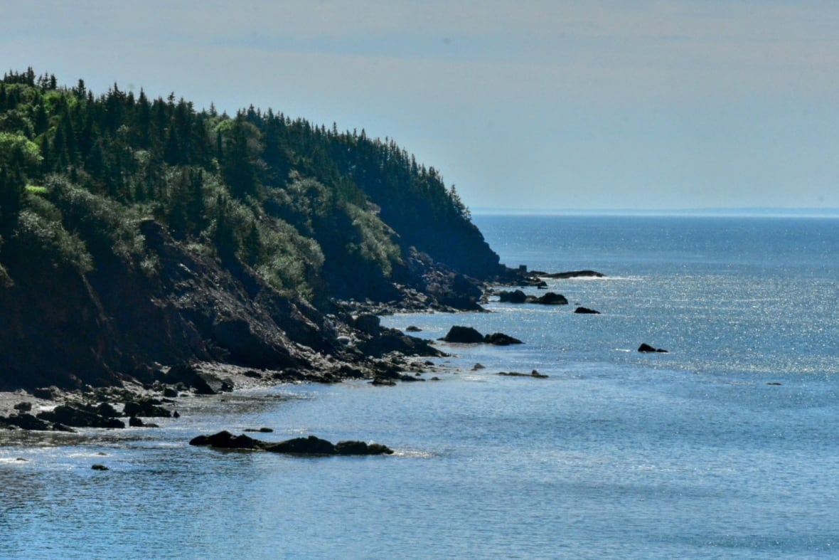 A cliffside overlooking the water