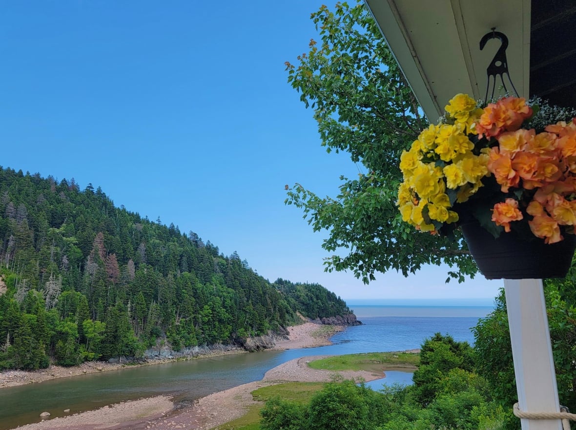 A blurred hanging flower pot in the foreground with a tree-covered, cliffside view of the water in the background