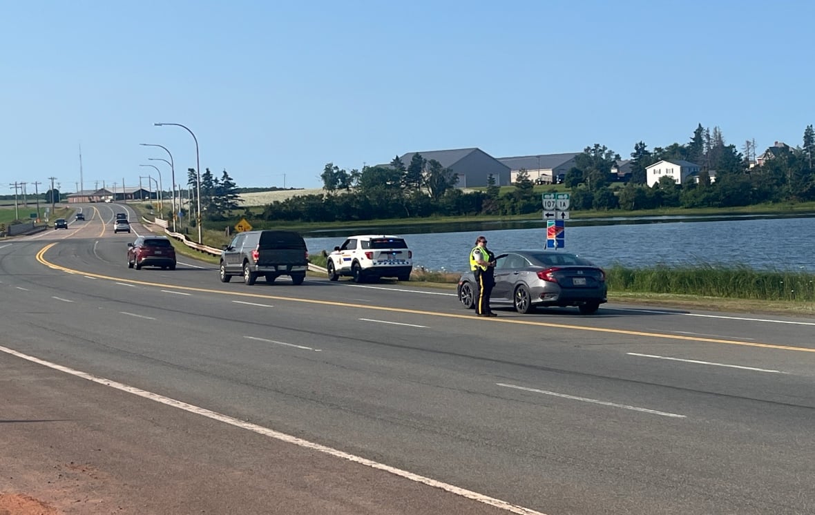 Un oficial de policía interactuó con un conductor en la carretera, un auto de policía cerca