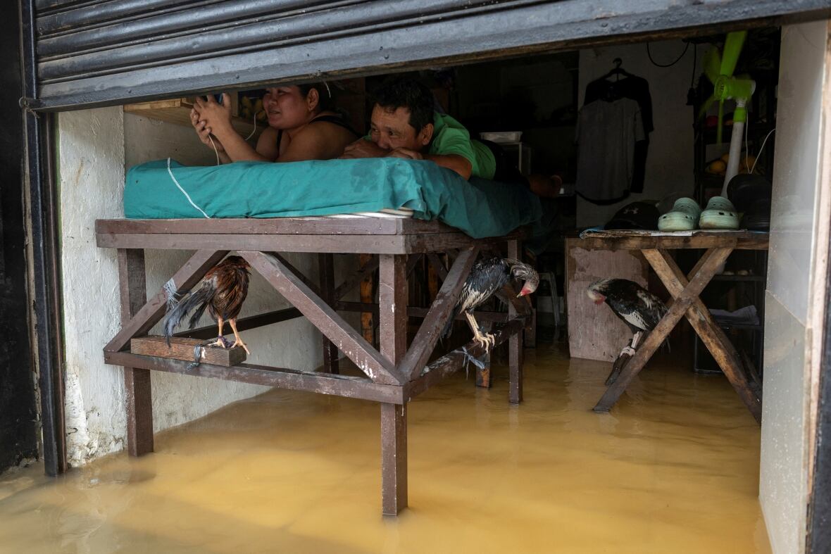 A man and woman lay on an elevated structure with their chickens as brown flood waters submerged their floor.