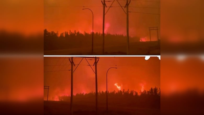 Dark orange flames burn a forest silhouetted by the light