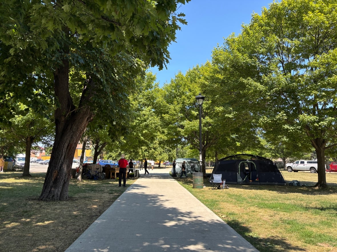 A park with a few tents
