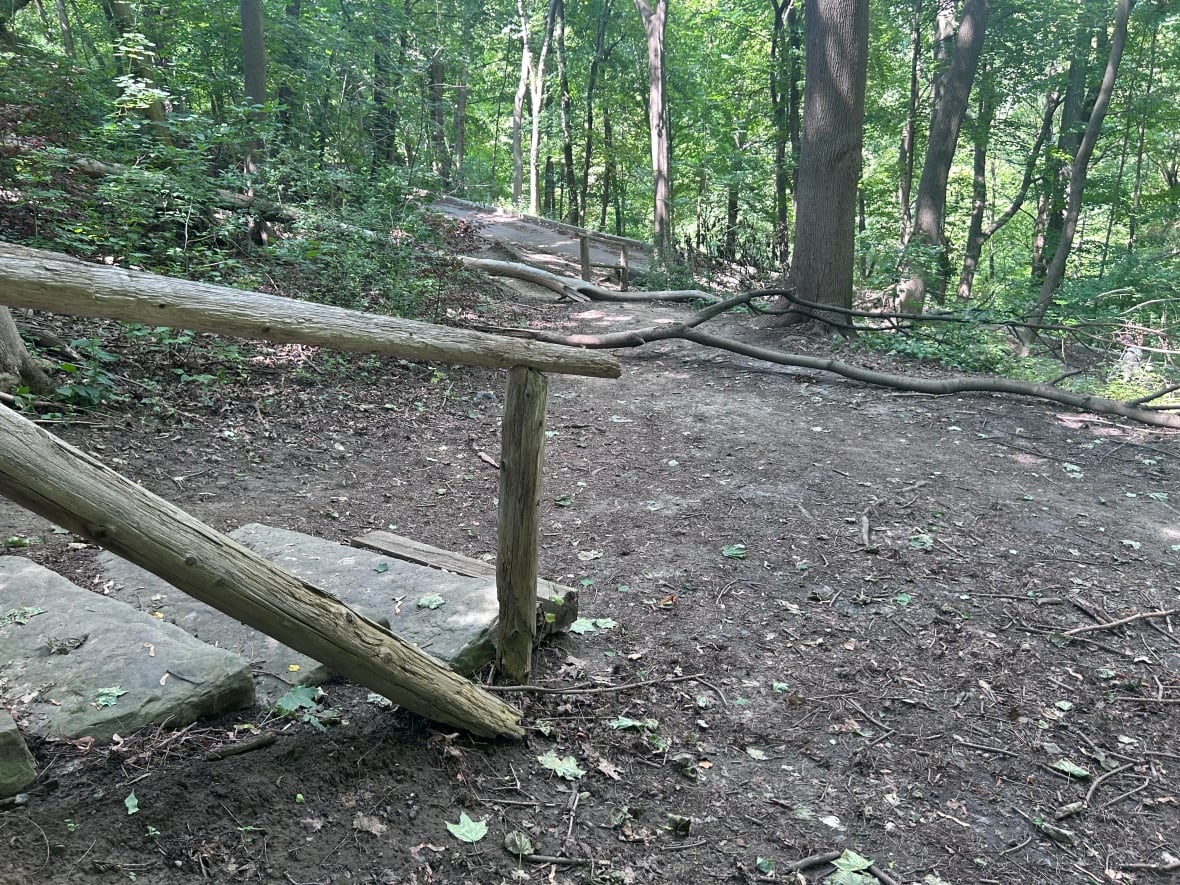 Constant erosion has washed away some parts of the trail, according to John Bossons of the Midtown Ravines Group. His group - rather than the city - will be paying to have the network rebuilt.