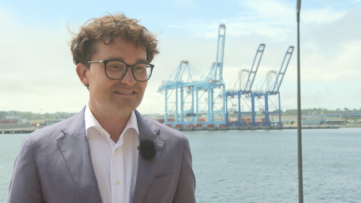 close up shot of Port Saint John CEO Craig Bell Estabrooks with a panoramic view of the harbour behind him. 