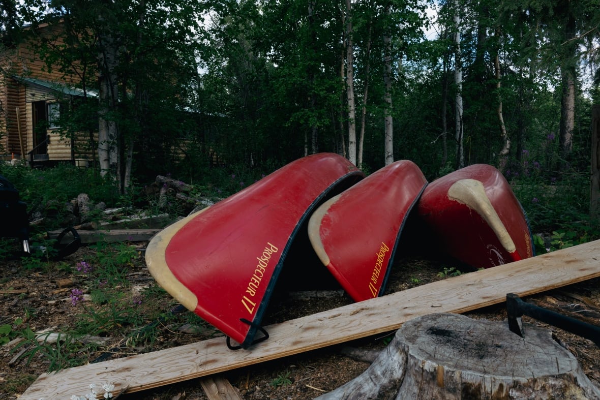 Three canoes beached on grass.