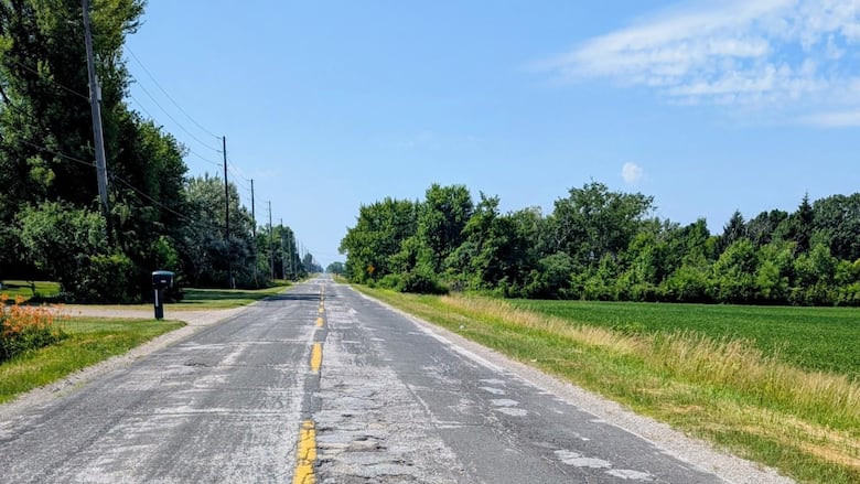 A country road with fields to the side and trees in the distance.  The road is covered in cracks and rough patches. 