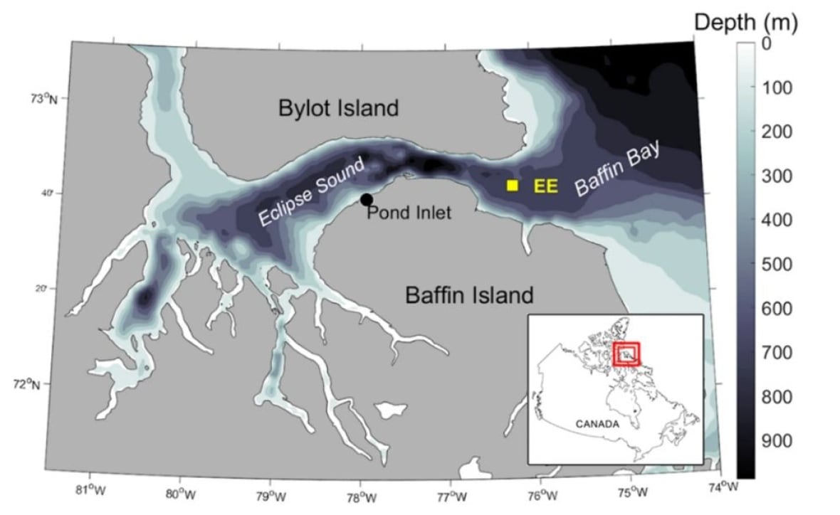 Map of the study area, Eclipse Sound. The acoustic recording location (EE, yellow square) is at the eastern entrance to Eclipse Sound in northern Baffin Island, Nunavut, Canada.